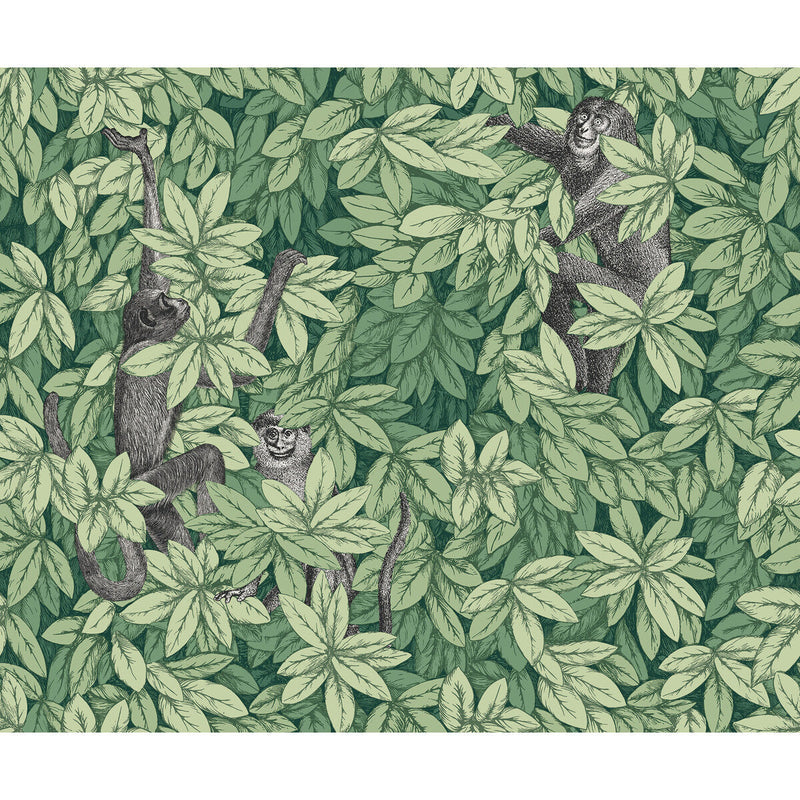 COLE & SON - FOGLIE E SCIMMIE- GREEN - Wallcovering by the Roll GREEN