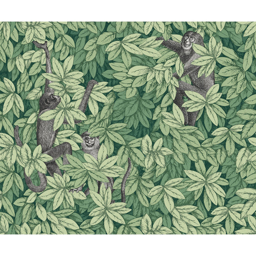 COLE & SON - FOGLIE E SCIMMIE- GREEN - Wallcovering by the Roll GREEN