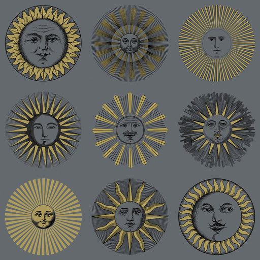 COLE & SON - SOLI- MIDNIGHT & SOFT GOLD - Wallcovering by the Roll MIDNIGHT & SOFT GOLD