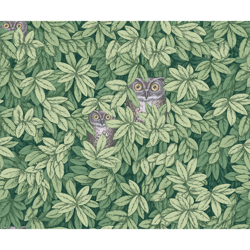 COLE & SON - FOGLIE E CIVETTE- GREEN - Wallcovering by the Roll GREEN