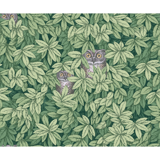 COLE & SON - FOGLIE E CIVETTE- GREEN - Wallcovering by the Roll GREEN
