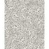 COLE & SON - ORTENSIA- BLACK & WHITE - Wallcovering by the Roll