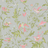 COLE & SON - HUMMINGBIRDS- GREY/PINK - Wallcovering by the Roll