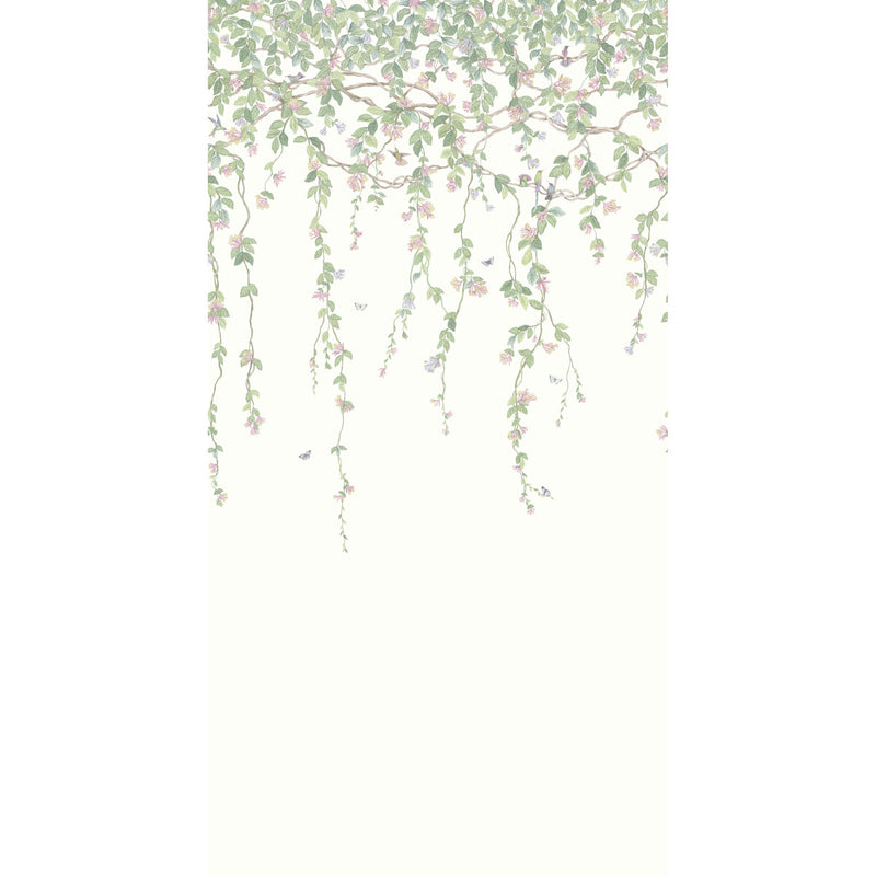 COLE & SON - HUMMINGBIRDS FLORA- BLUSH - Wallcovering by the EACH BLUSH
