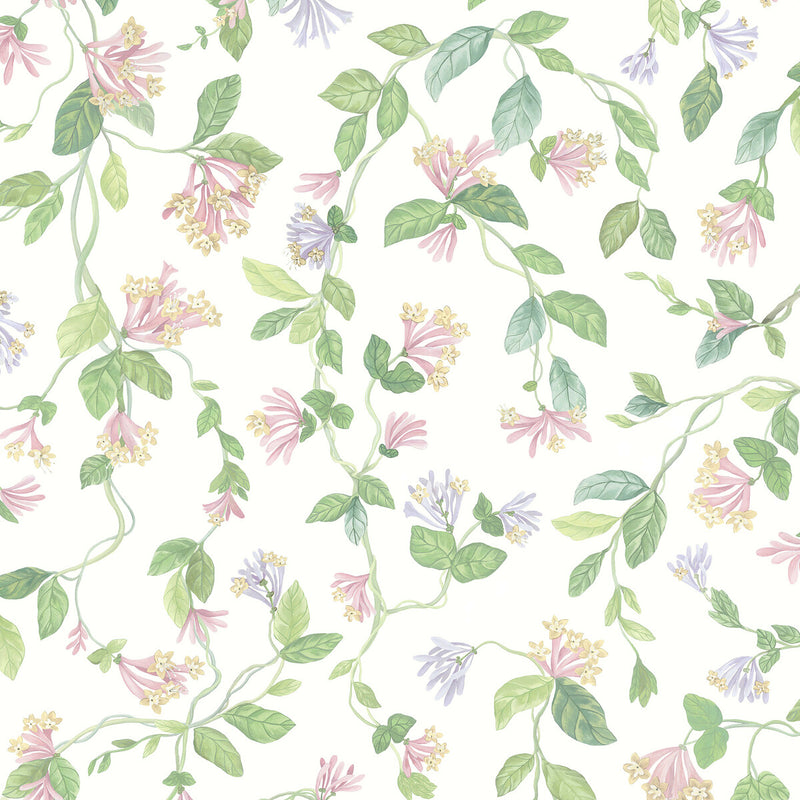 COLE & SON - FLORA- PINK/PURPLE - Wallcovering by the Roll PINK/PURPLE
