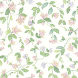 COLE & SON - FLORA- PINK/PURPLE - Wallcovering by the Roll