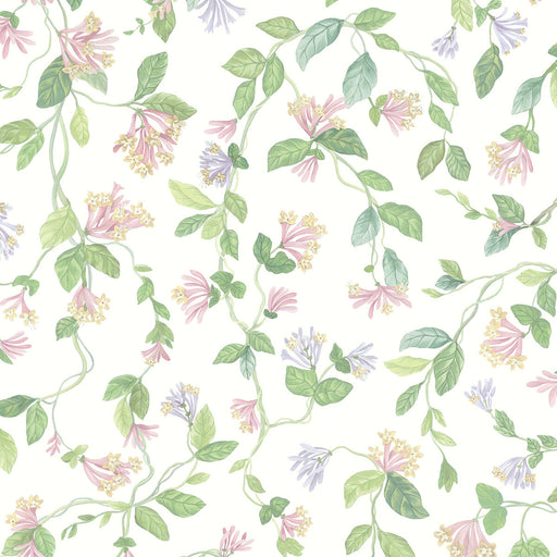 COLE & SON - FLORA- PINK/PURPLE - Wallcovering by the Roll PINK/PURPLE
