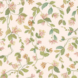 COLE & SON - FLORA- PINK/ORANGE - Wallcovering by the Roll