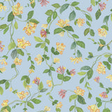 COLE & SON - FLORA- BLUE/ORANGE - Wallcovering by the Roll