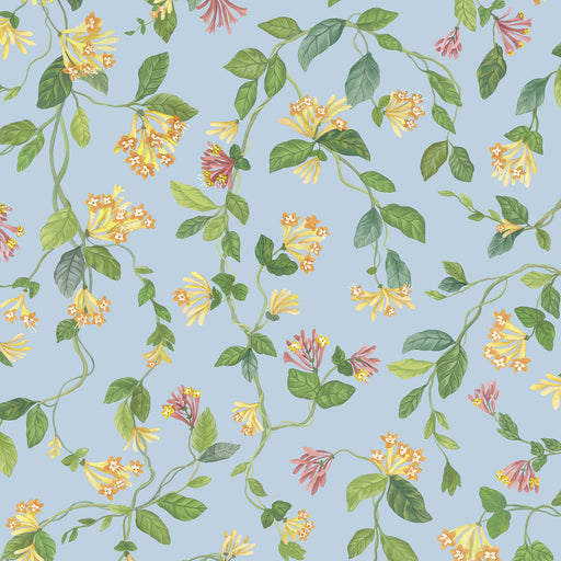 COLE & SON - FLORA- BLUE/ORANGE - Wallcovering by the Roll BLUE/ORANGE