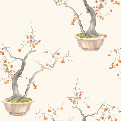 COLE & SON - KAKI PERSIMMON- BERGAMOT - Wallcovering by the Roll BERGAMOT