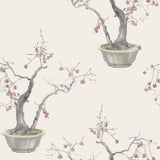 COLE & SON - KAKI PERSIMMON- SILVER - Wallcovering by the Roll