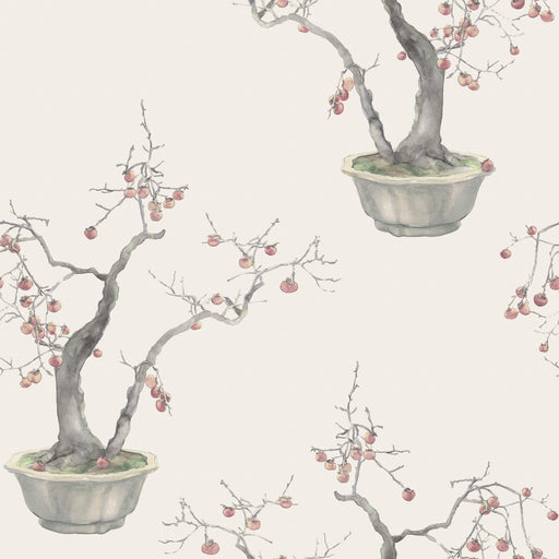 COLE & SON - KAKI PERSIMMON- SILVER - Wallcovering by the Roll SILVER