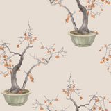 COLE & SON - KAKI PERSIMMON- VIOLET - Wallcovering by the Roll