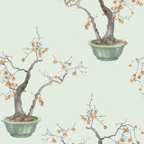 COLE & SON - KAKI PERSIMMON- JADE GREEN - Wallcovering by the Roll