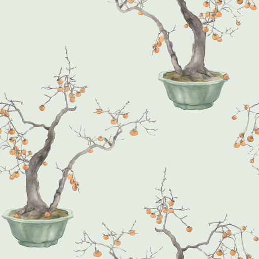 COLE & SON - KAKI PERSIMMON- JADE GREEN - Wallcovering by the Roll JADE GREEN