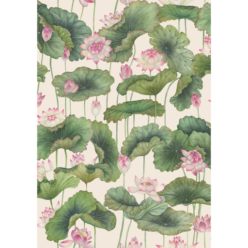 COLE & SON - LILY LOTUS- PINK - Wallcovering by the Roll PINK