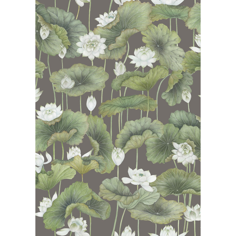 COLE & SON - LILY LOTUS- WHITE/CHARCOAL  - Wallcovering by the Roll WHITE/CHARCOAL