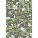 COLE & SON - LILY LOTUS- WHITE/CHARCOAL  - Wallcovering by the Roll