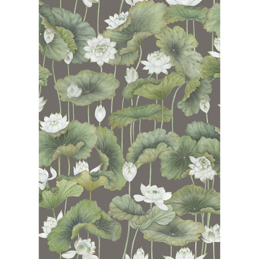 COLE & SON - LILY LOTUS- WHITE/CHARCOAL  - Wallcovering by the Roll WHITE/CHARCOAL