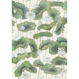 COLE & SON - LILY LOTUS- WHITE/CREAM - Wallcovering by the Roll