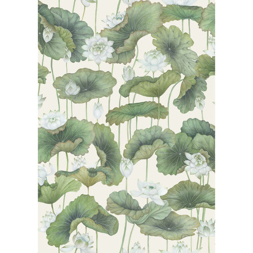 COLE & SON - LILY LOTUS- WHITE/CREAM - Wallcovering by the Roll WHITE/CREAM