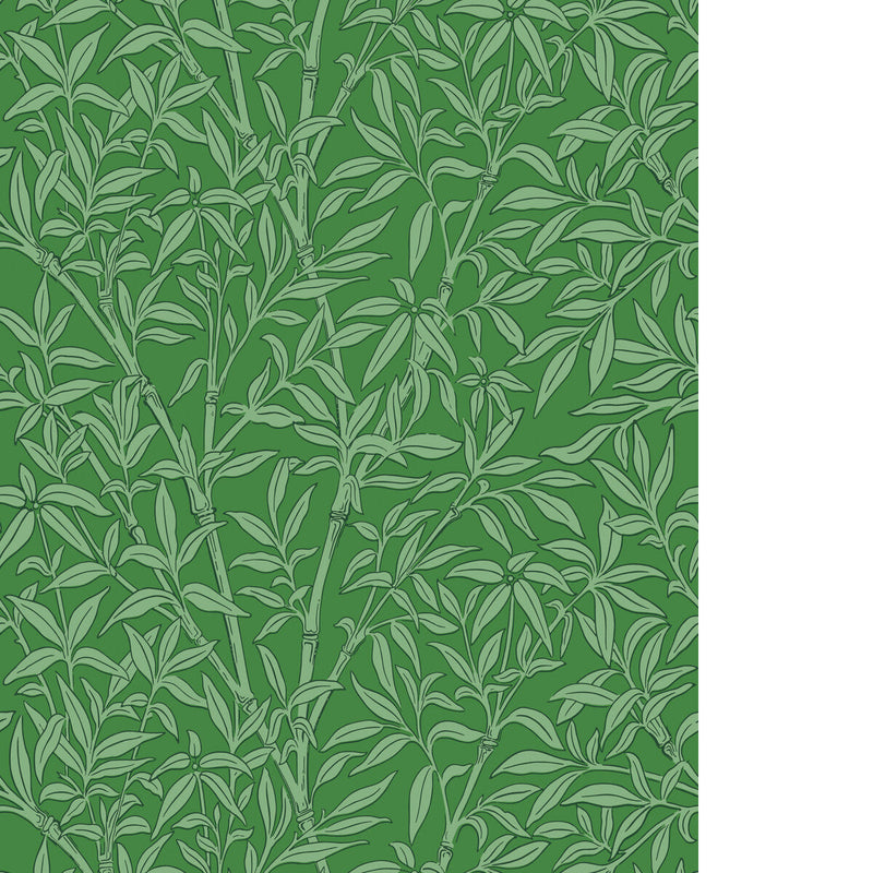 BAMBOO FOREST - EMERALD