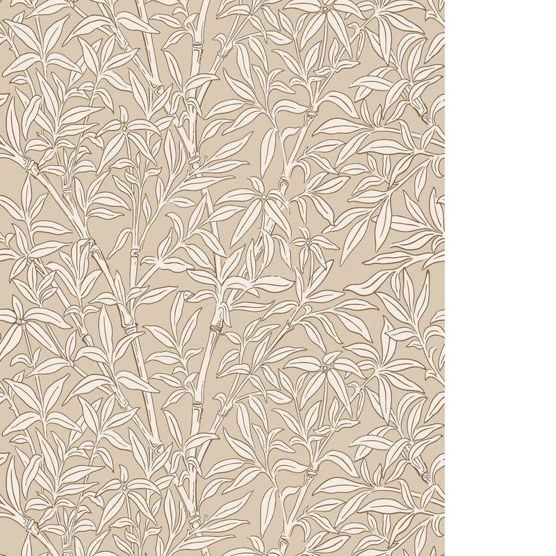 BAMBOO FOREST - OAT