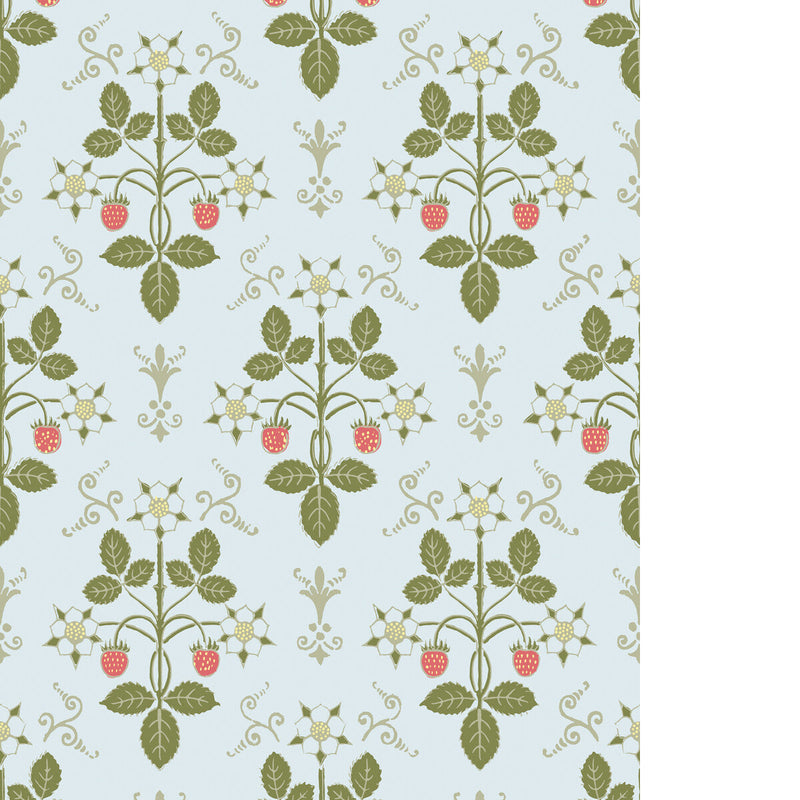 STRAWBERRY - OLIVE/BLUE