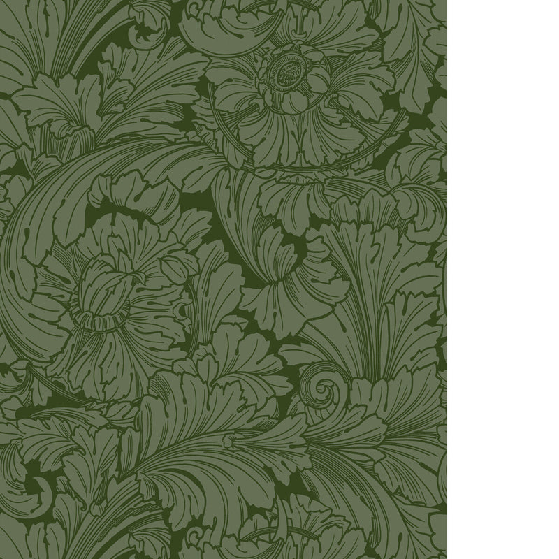 COLE & SON - ACANTHUS - FOREST - Wallpaper By The ROLL