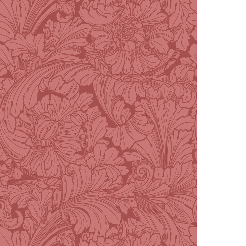 COLE & SON - ACANTHUS - STATELY HOME RED - Wallpaper By The ROLL