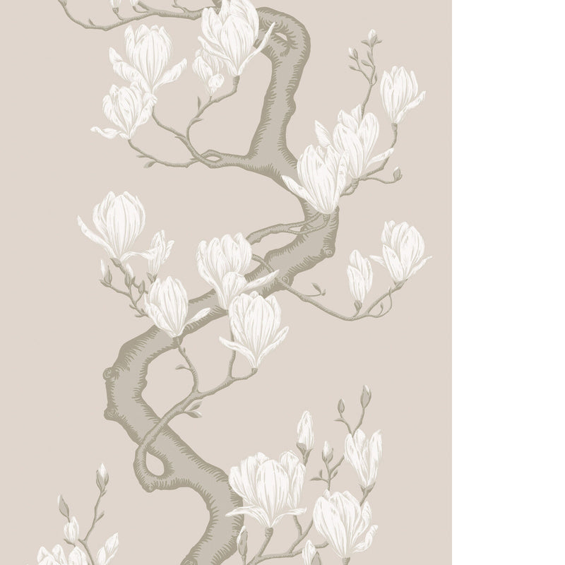 COLE & SON - MAGNOLIA TREE - SOFT CREAM - Wallpaper By The ROLL