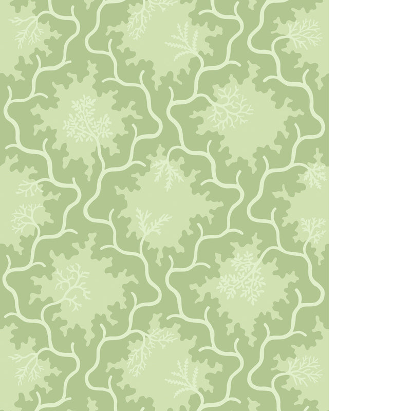 COLE & SON - MOSS TRELLIS - MATCHA - Wallpaper By The ROLL