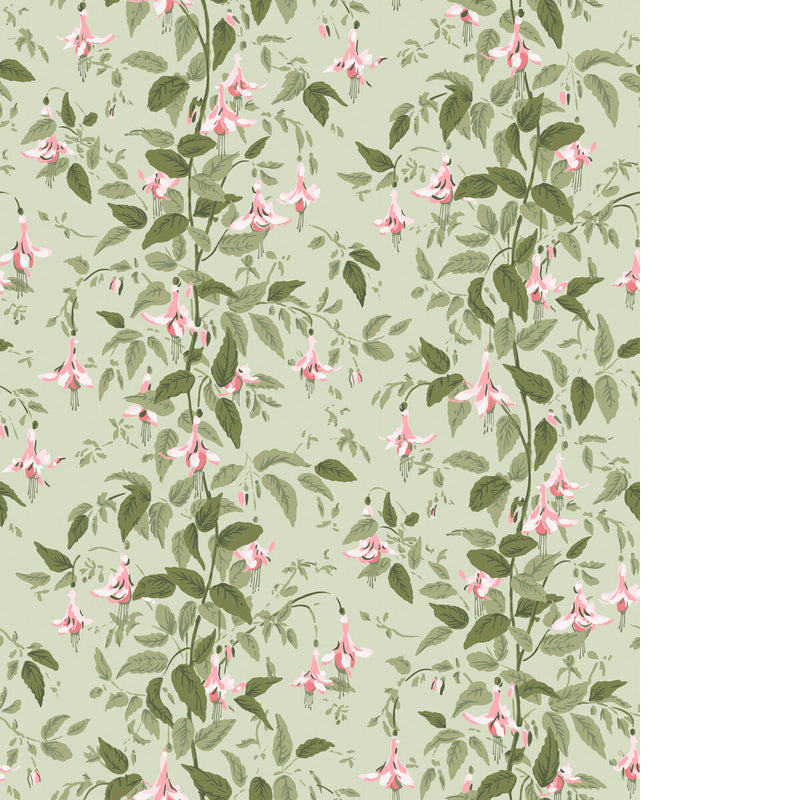 COLE & SON - FUSCHIA - POWDER PINK - Wallpaper By The ROLL