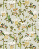 COLE & SON - BAOBAB BOTANICA - DUCK EGG - Wallpaper By The ROLL