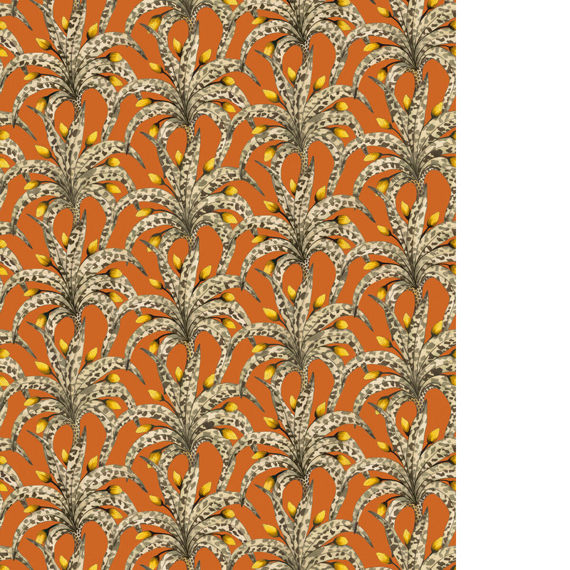 COLE & SON - AFRIKA DAMASK - TANGERINE - Wallpaper By The ROLL