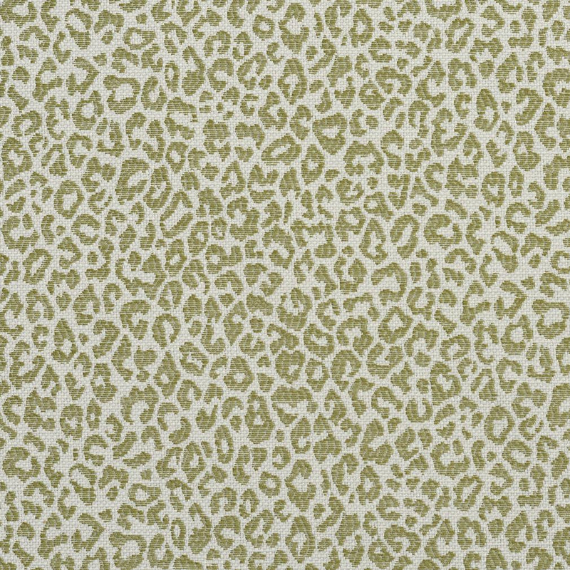 Charlotte - 1591 - Meadow - Fabric by the Yard Meadow