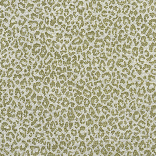 Charlotte - 1591 - Meadow - Fabric by the Yard Meadow