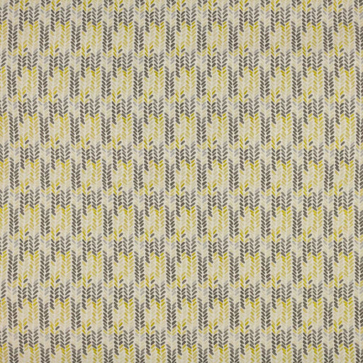 Track Spotter - Golden Pewter - RM Coco - Fabric by the Yard