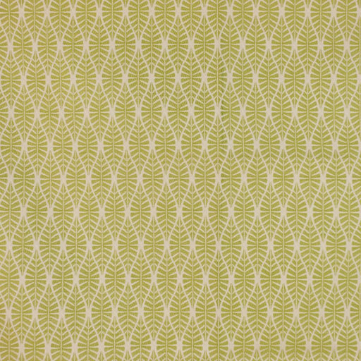 Leafing Out - Leaf - RM Coco - Fabric by the Yard
