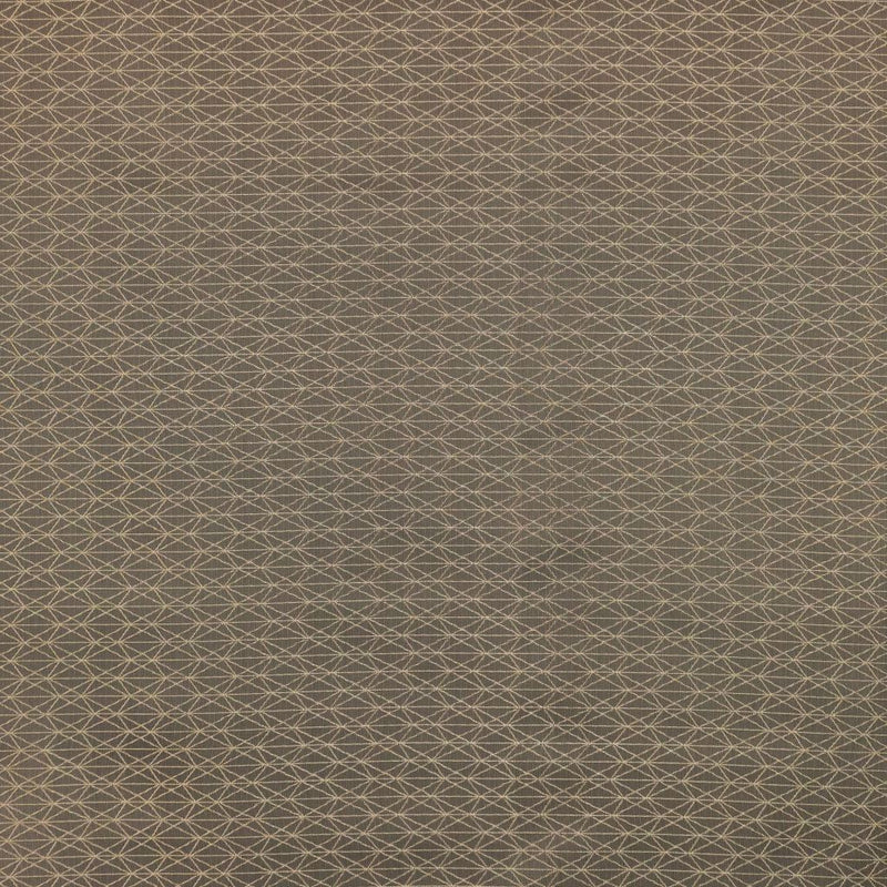 Ice Crystals - Hazelnut - RM Coco - Fabric by the Yard