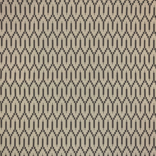 Katmai - Carbon - RM Coco - Fabric by the Yard