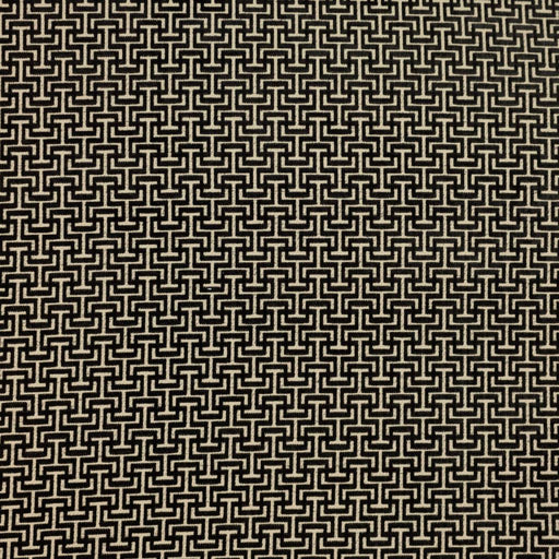 Thebes - Black Linen - RM Coco - Fabric by the Yard