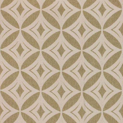 Grove Park Garden - Thyme - RM Coco - Fabric by the Yard