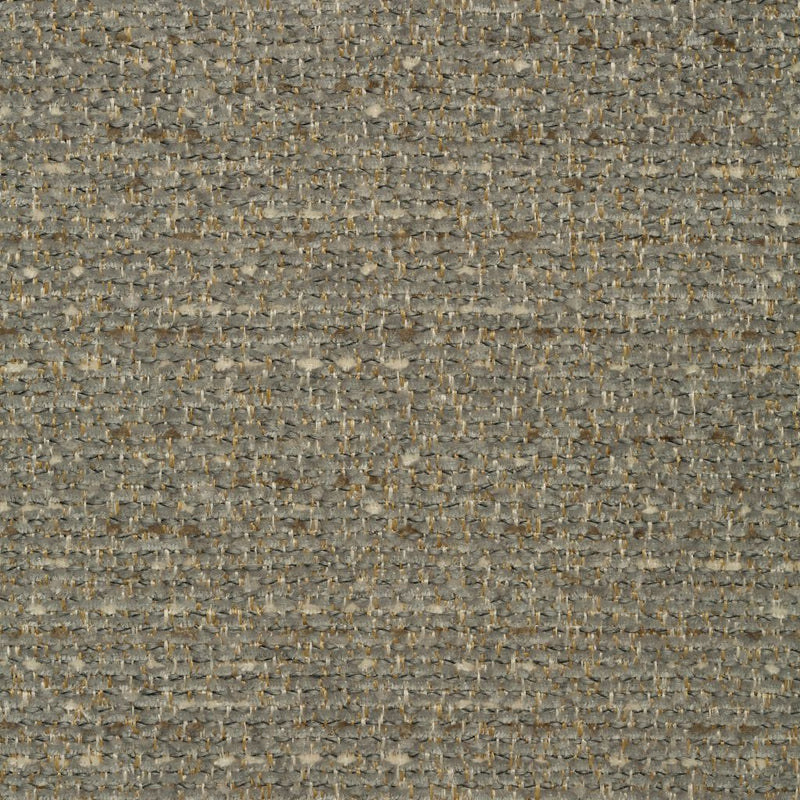 Grandstand - CryptonÂ® - Stone - RM Coco - Fabric by the Yard