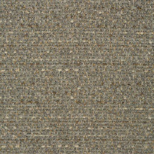 Grandstand - CryptonÂ® - Stone - RM Coco - Fabric by the Yard