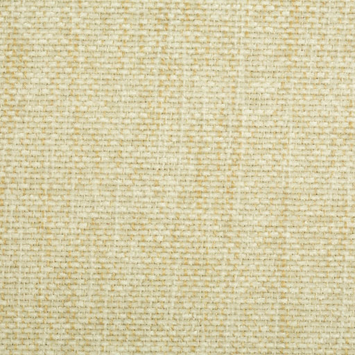 Front-Runner - CryptonÂ® - Sandstone - RM Coco - Fabric by the Yard
