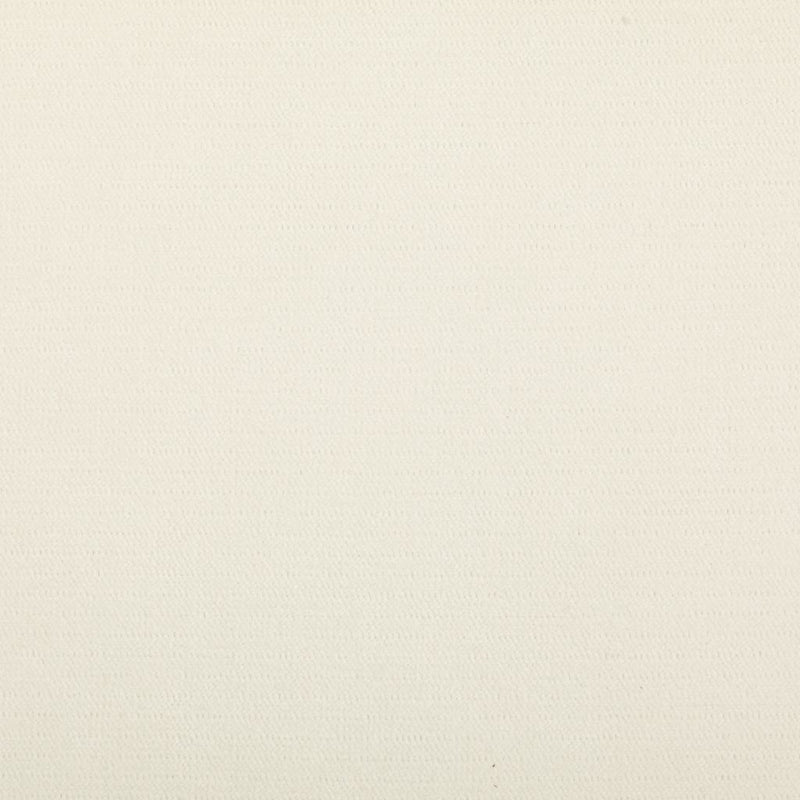 Preakness - CryptonÂ® - Snow - RM Coco - Fabric by the Yard