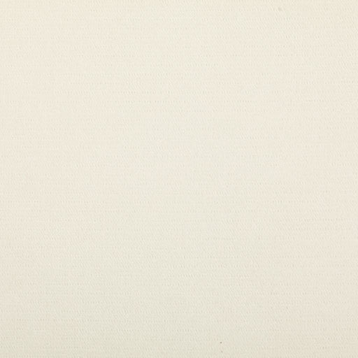 Preakness - CryptonÂ® - Snow - RM Coco - Fabric by the Yard