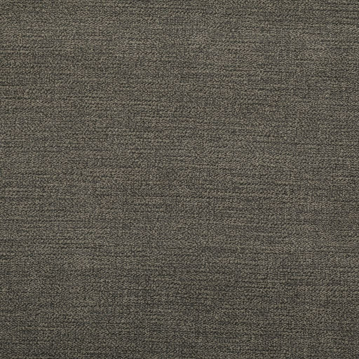 Preakness - CryptonÂ® - Storm - RM Coco - Fabric by the Yard